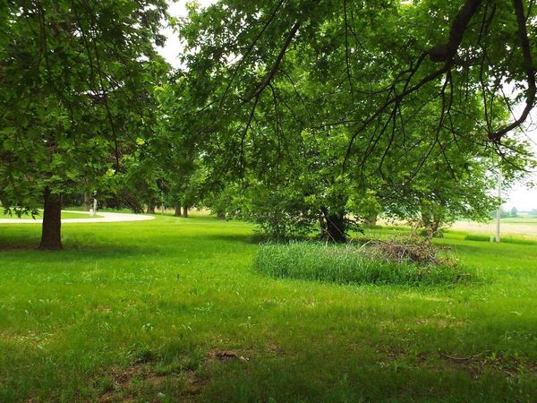 1179 Oak Street, Ocheyedan, IA 51354