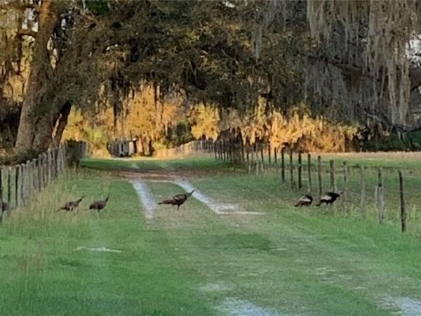 1360 S STATE ROAD 19, PALATKA, FL 32177