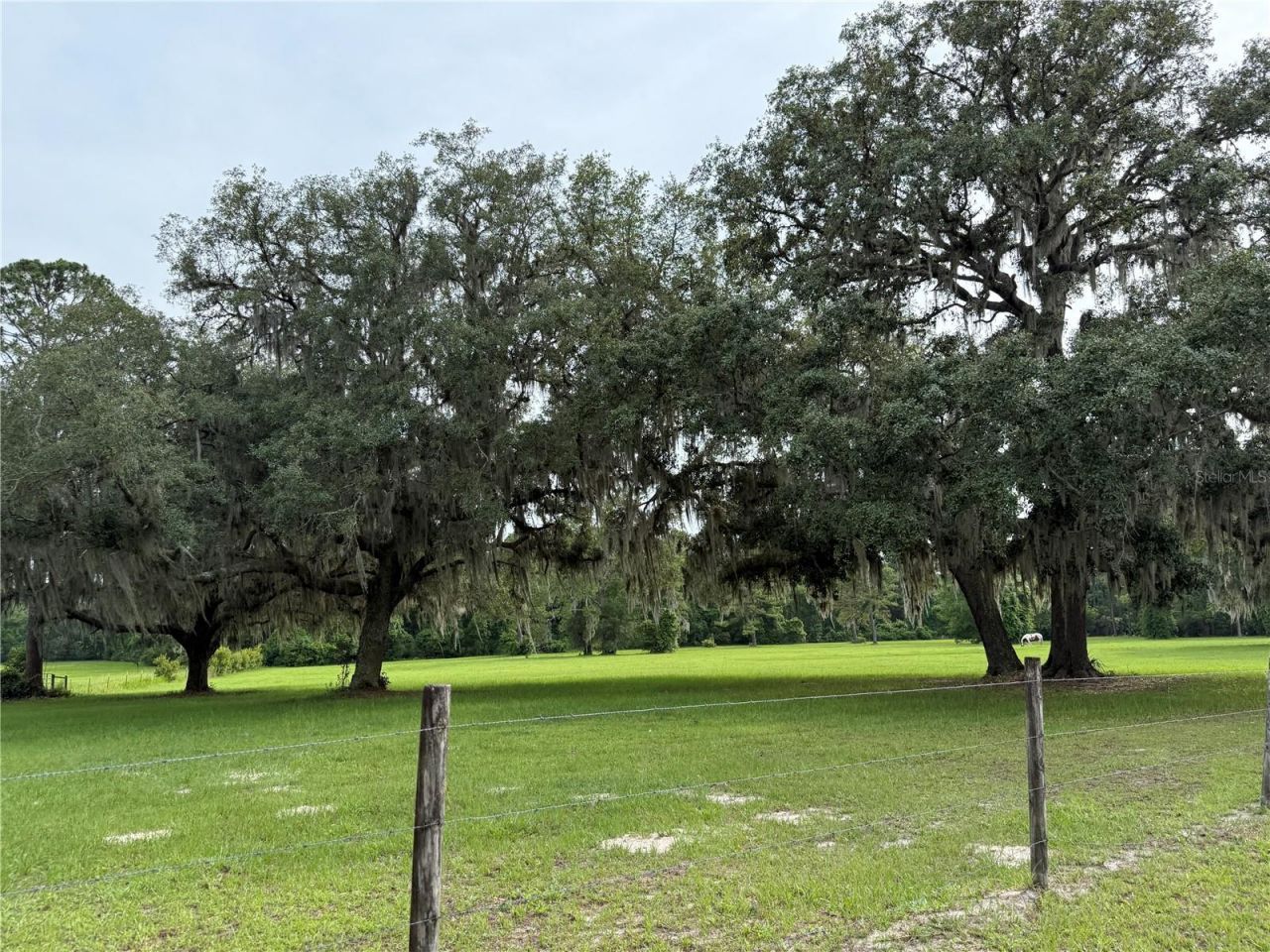 1360 S State Road 19, Palatka, FL 32177 Photo