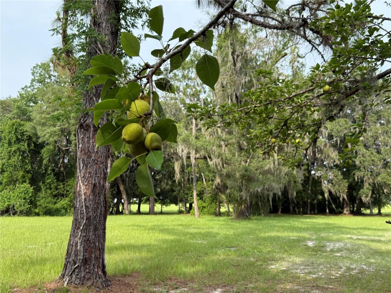 1360 S State Road 19, Palatka, FL 32177 Photo