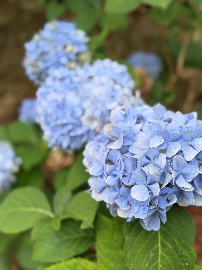 1360 S State Road 19, Palatka, FL 32177 Photo