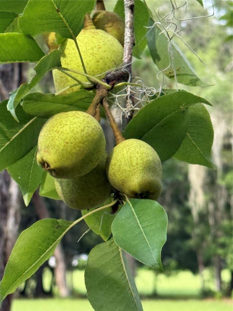 1360 S State Road 19, Palatka, FL 32177 Photo