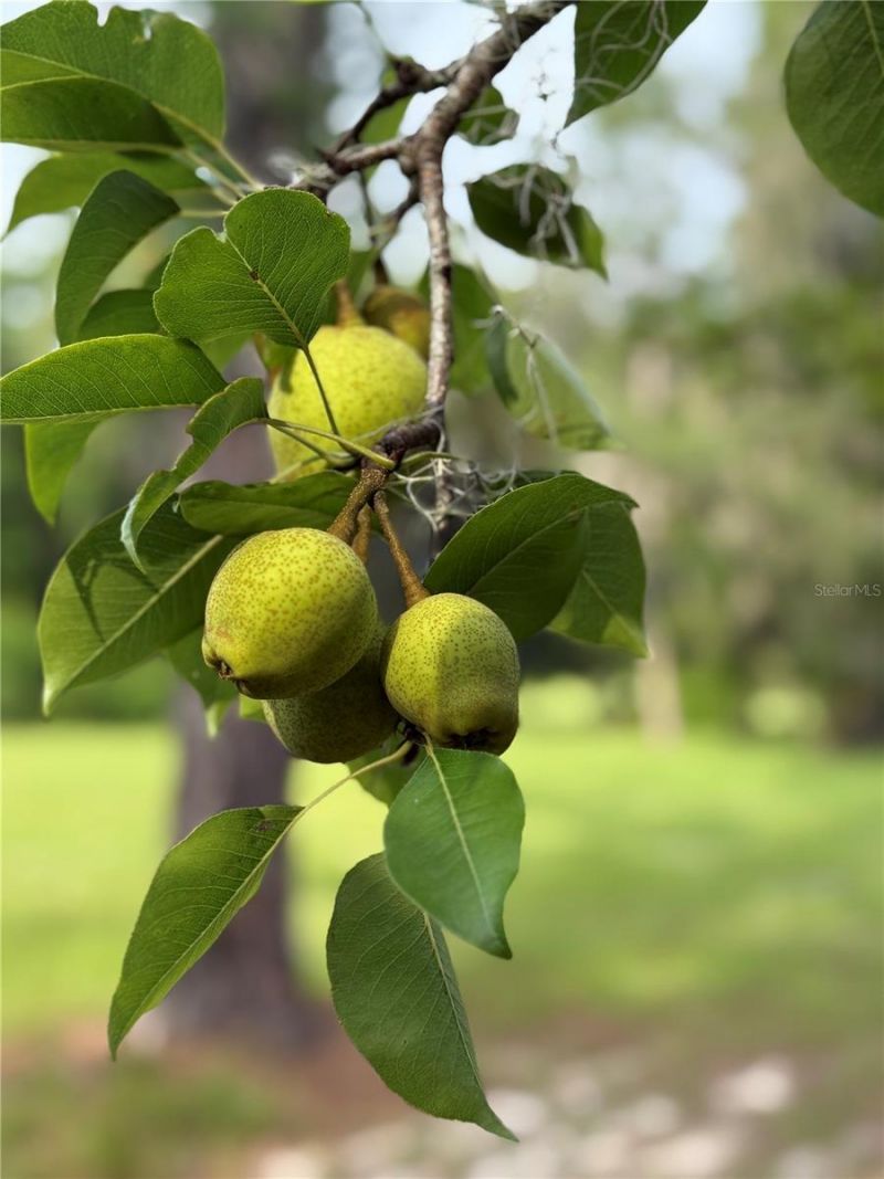 1360 S State Road 19, Palatka, FL 32177 Photo