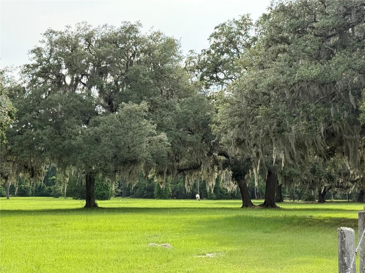 1360 S State Road 19, Palatka, FL 32177 Photo