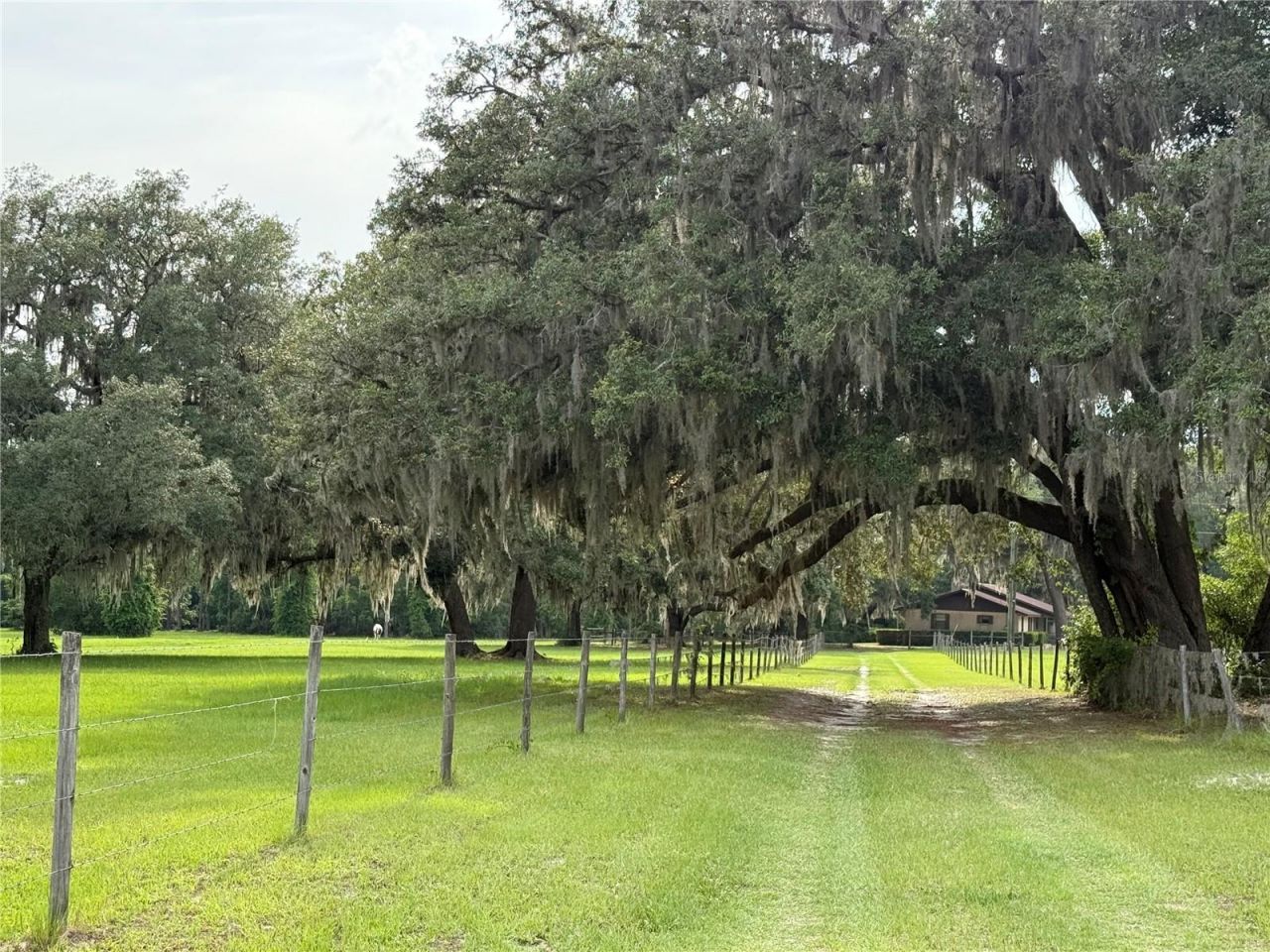 1360 S State Road 19, Palatka, FL 32177 Photo