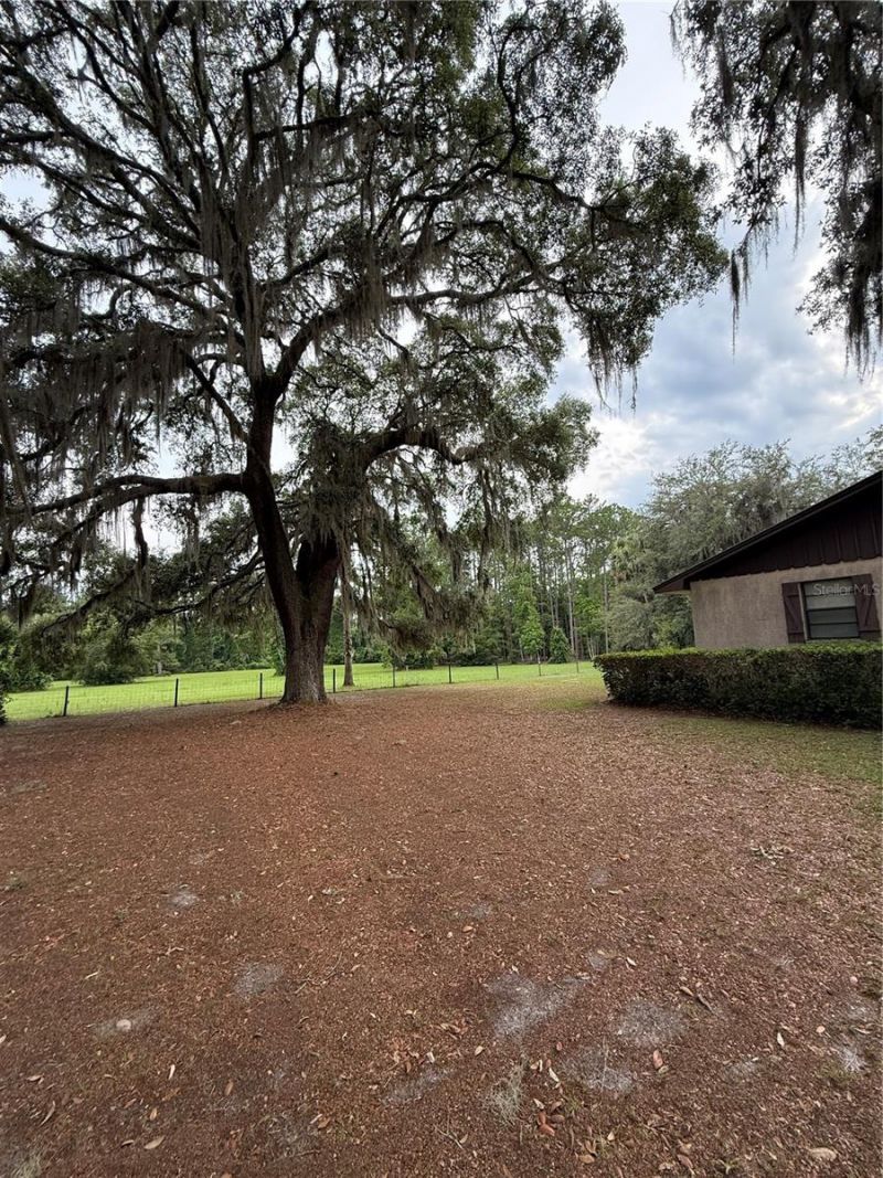 1360 S State Road 19, Palatka, FL 32177 Photo