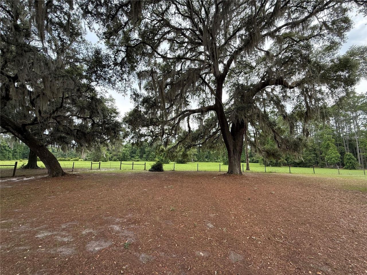 1360 S State Road 19, Palatka, FL 32177 Photo