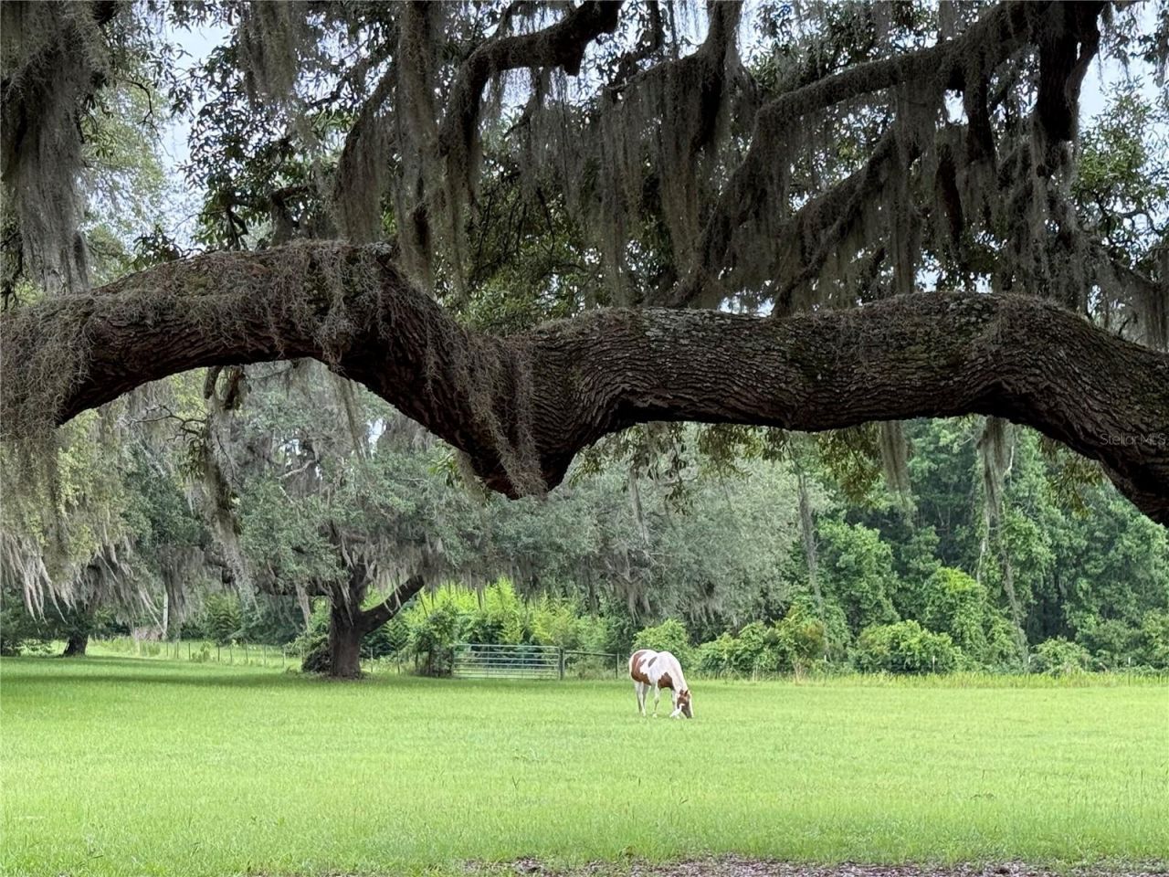 1360 S State Road 19, Palatka, FL 32177 Photo