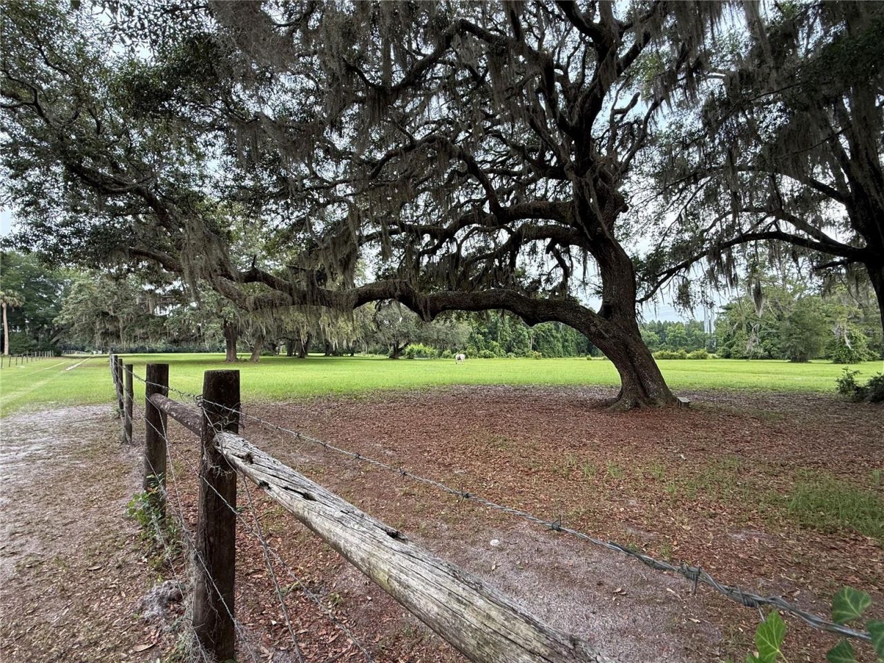 1360 S State Road 19, Palatka, FL 32177 Photo