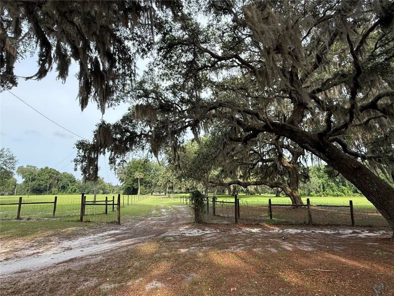 1360 S State Road 19, Palatka, FL 32177 Photo