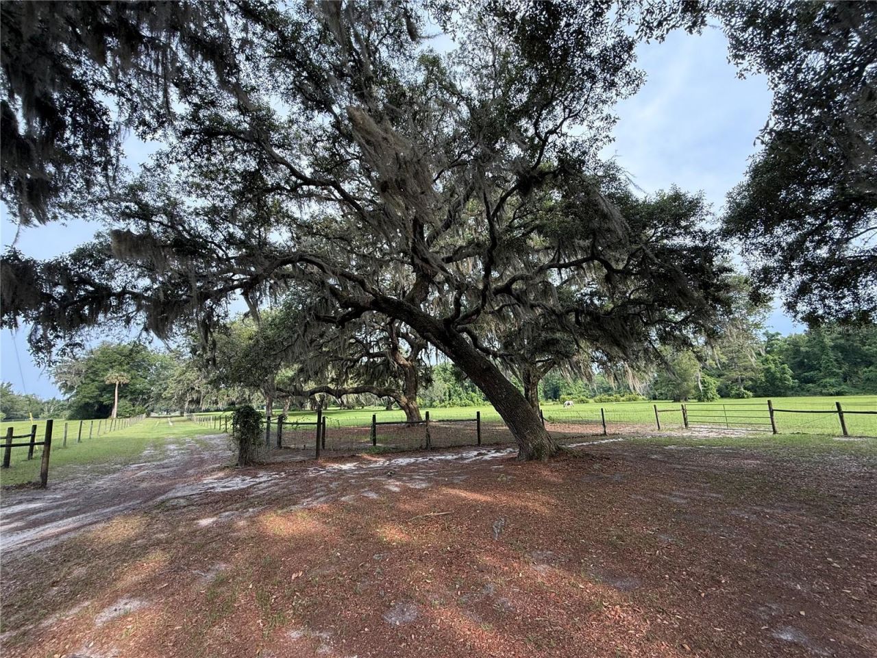 1360 S State Road 19, Palatka, FL 32177 Photo