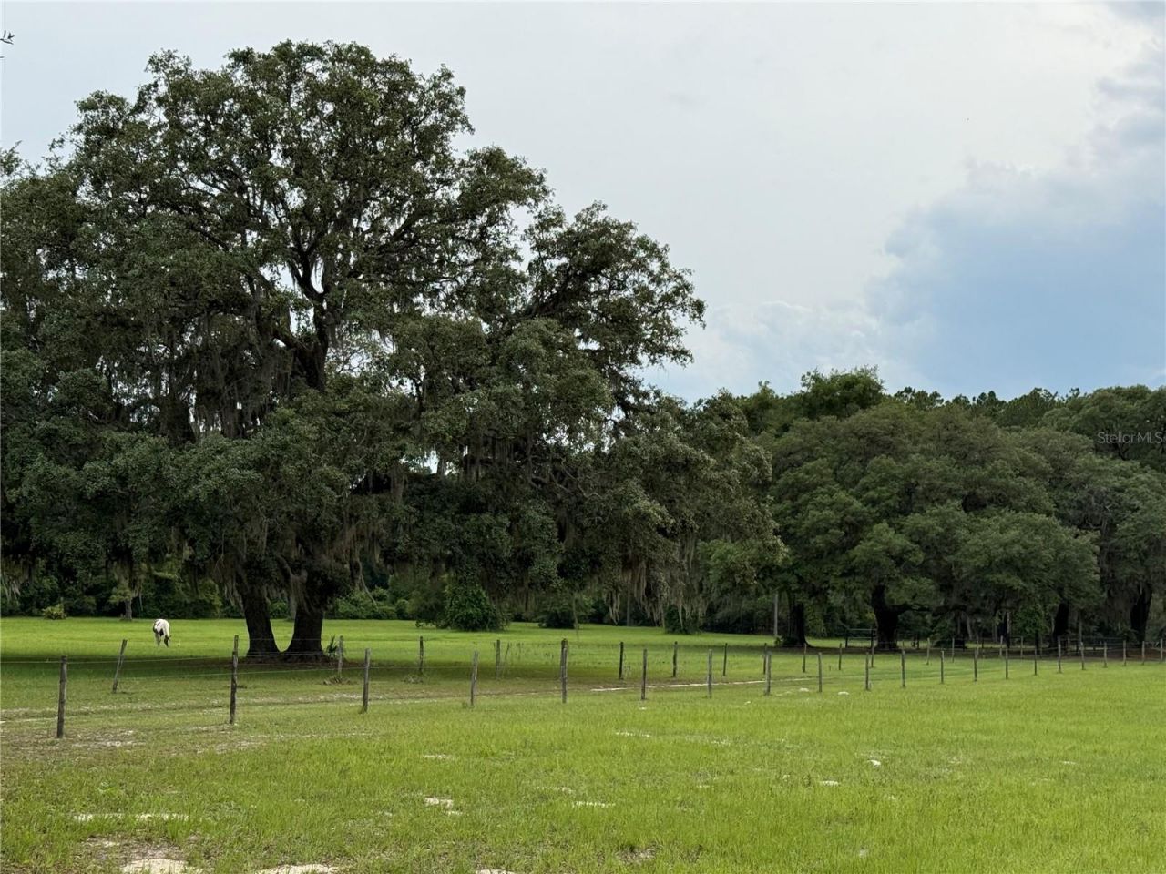 1360 S State Road 19, Palatka, FL 32177 Photo