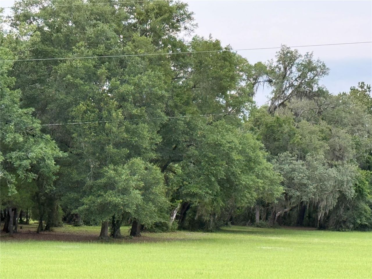 1360 S State Road 19, Palatka, FL 32177 Photo