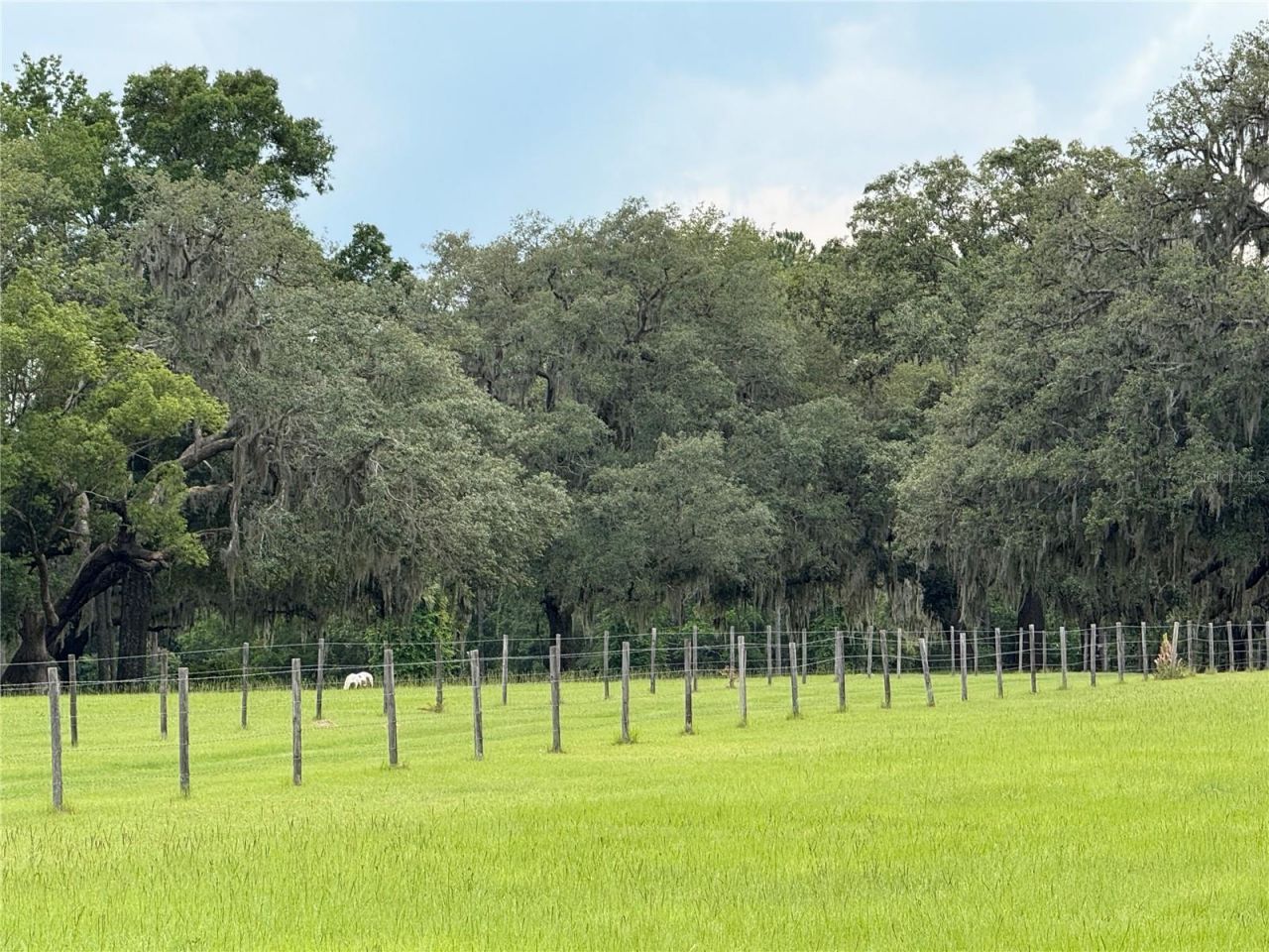 1360 S State Road 19, Palatka, FL 32177 Photo