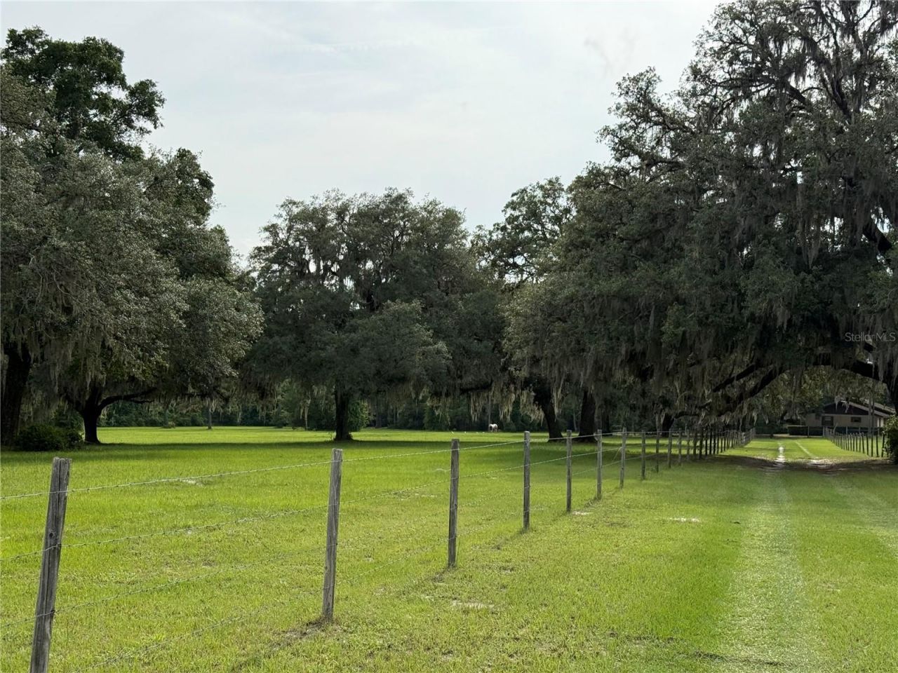 1360 S State Road 19, Palatka, FL 32177 Photo