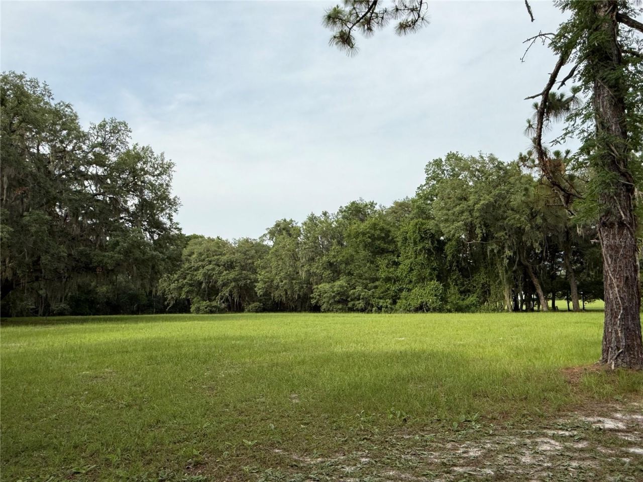 1360 S State Road 19, Palatka, FL 32177 Photo