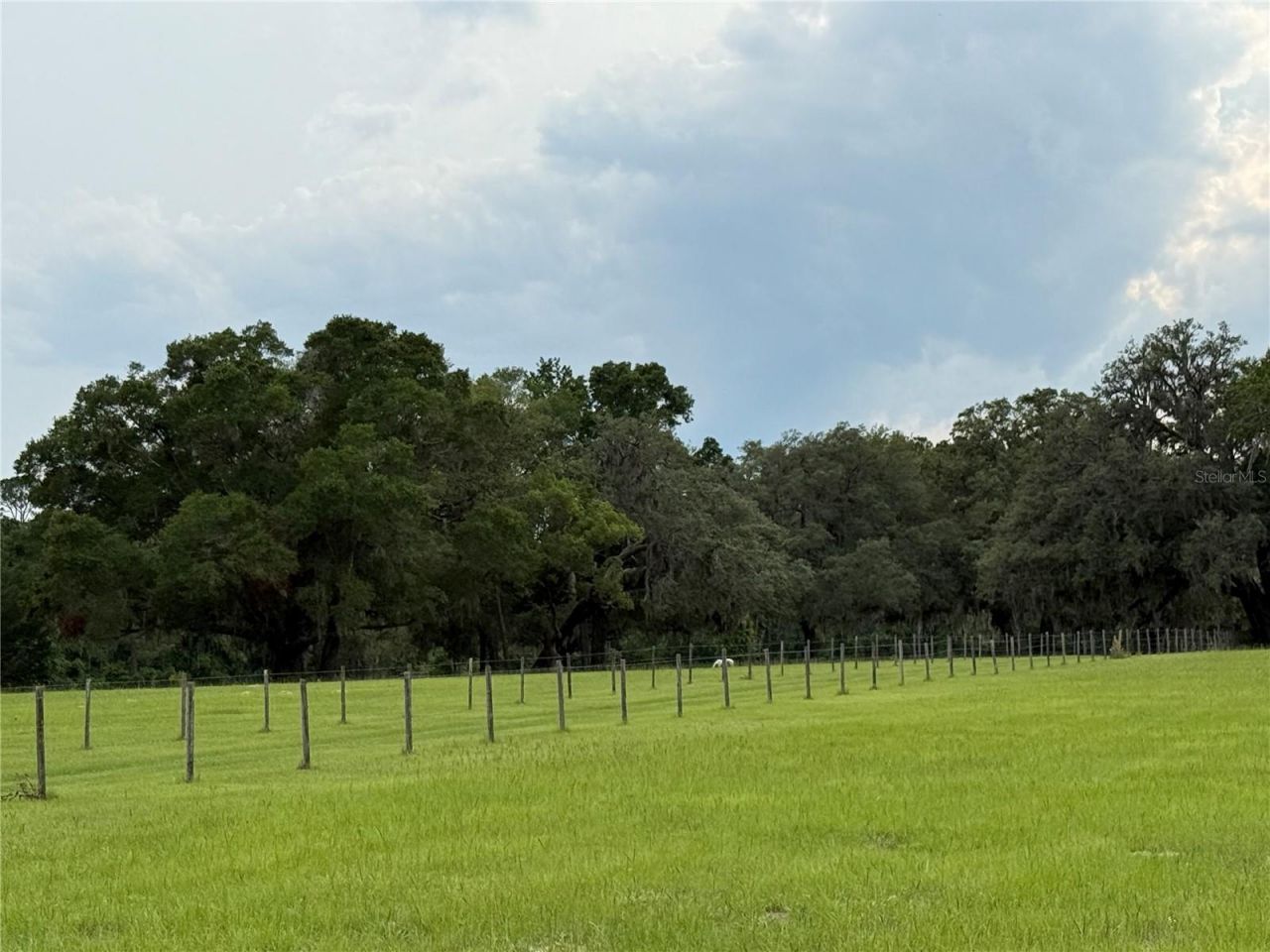 1360 S State Road 19, Palatka, FL 32177 Photo