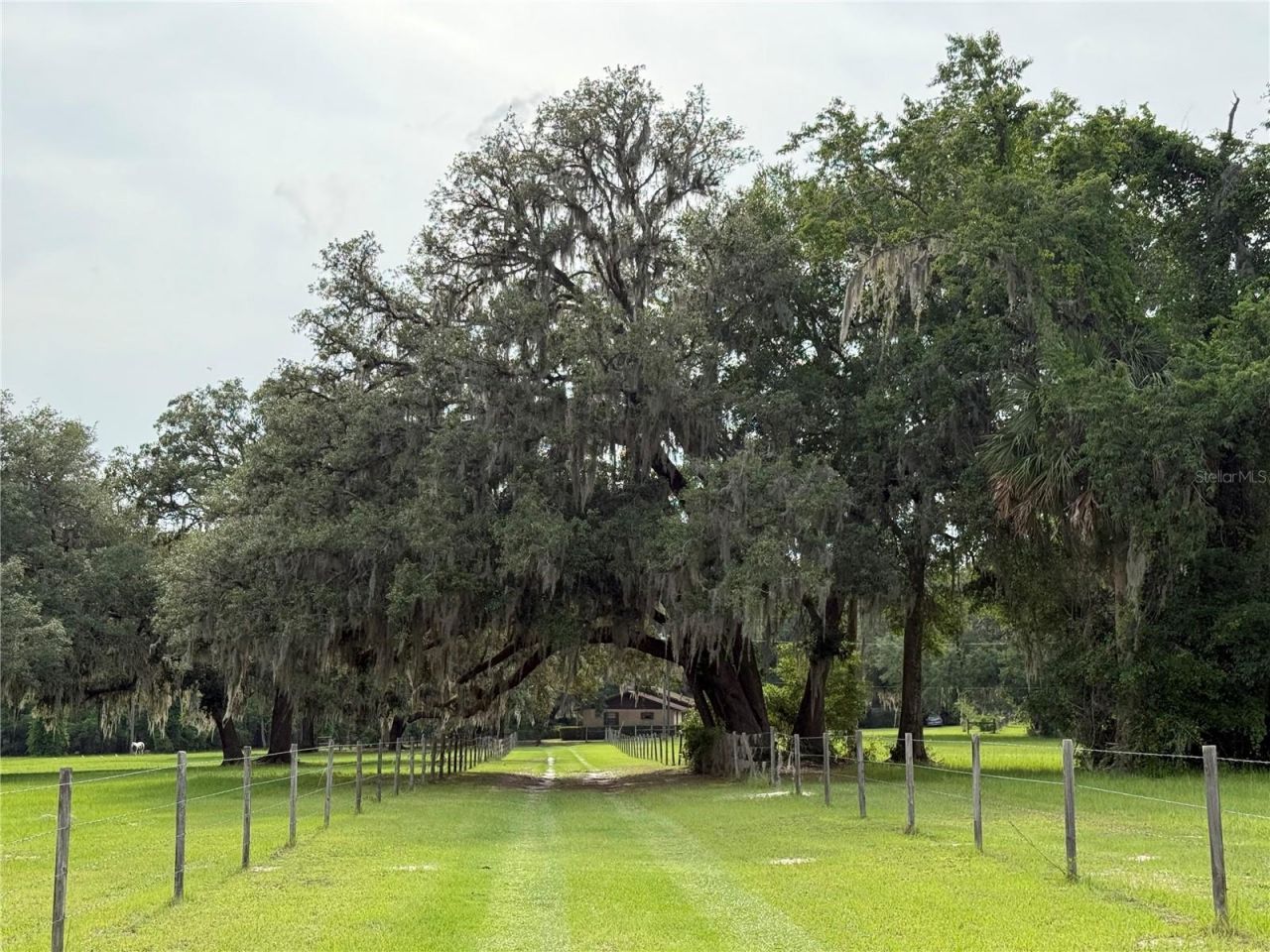 1360 S State Road 19, Palatka, FL 32177 Photo