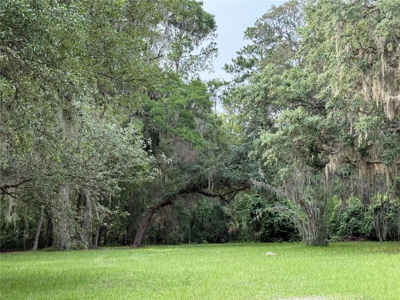 1360 S State Road 19, Palatka, FL 32177 Photo