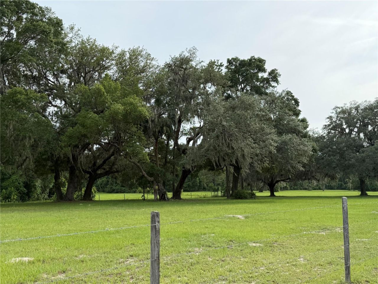 1360 S State Road 19, Palatka, FL 32177 Photo