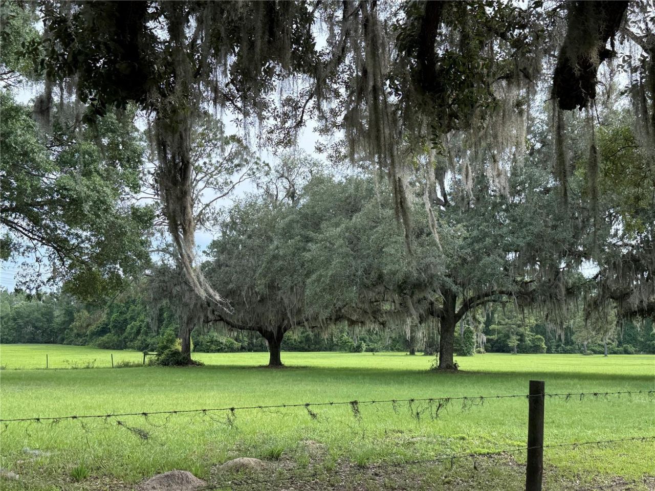 1360 S State Road 19, Palatka, FL 32177 Photo