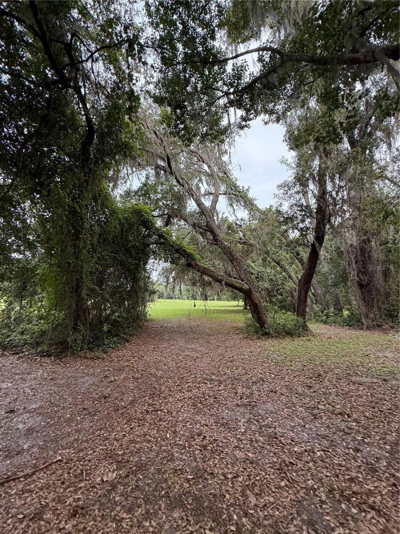 1360 S State Road 19, Palatka, FL 32177 Photo