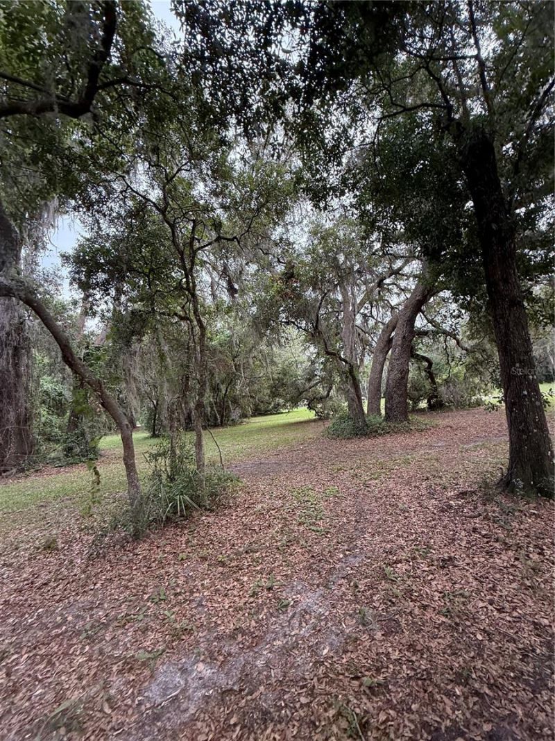 1360 S State Road 19, Palatka, FL 32177 Photo