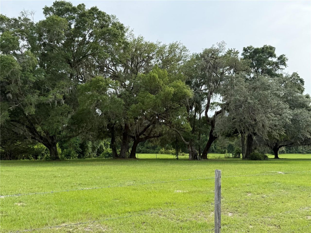 1360 S State Road 19, Palatka, FL 32177 Photo