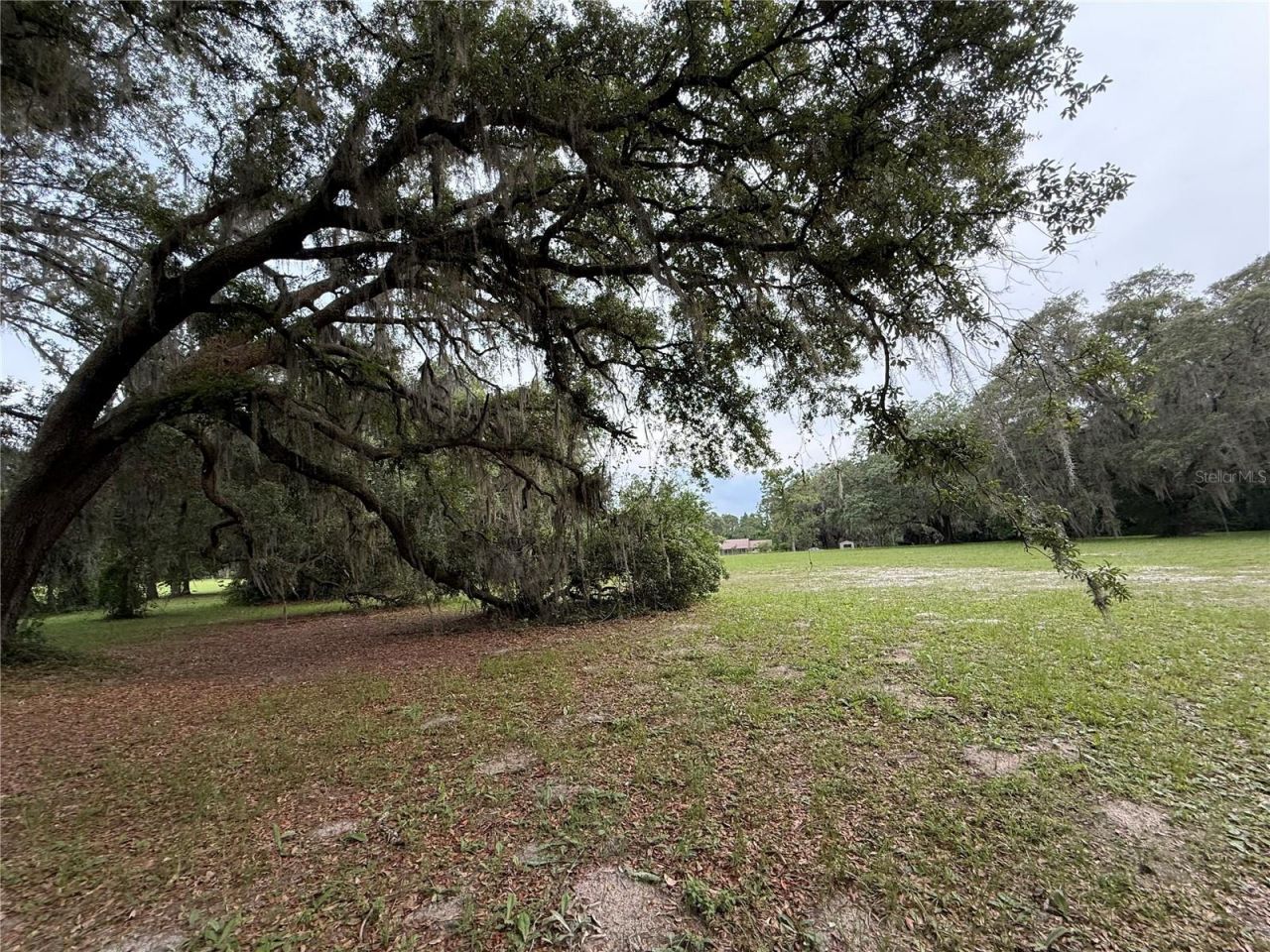 1360 S State Road 19, Palatka, FL 32177 Photo