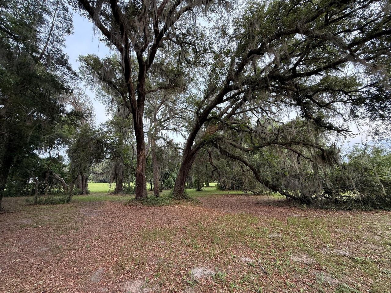 1360 S State Road 19, Palatka, FL 32177 Photo