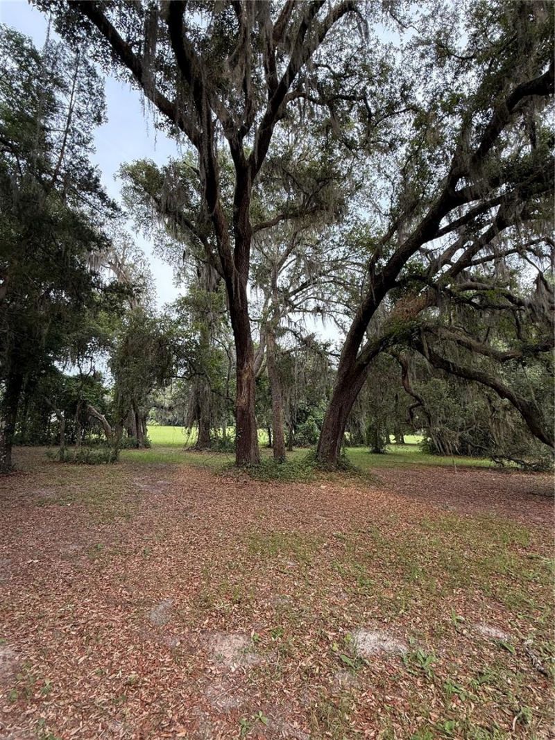 1360 S State Road 19, Palatka, FL 32177 Photo