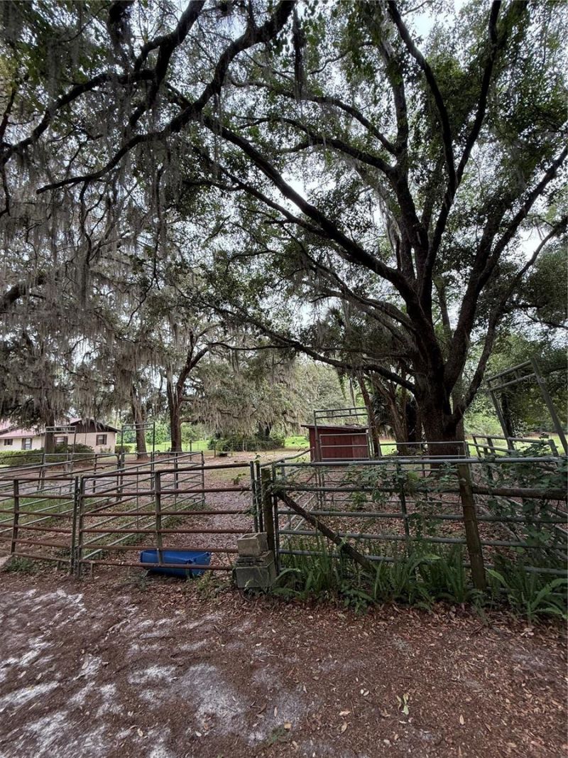 1360 S State Road 19, Palatka, FL 32177 Photo