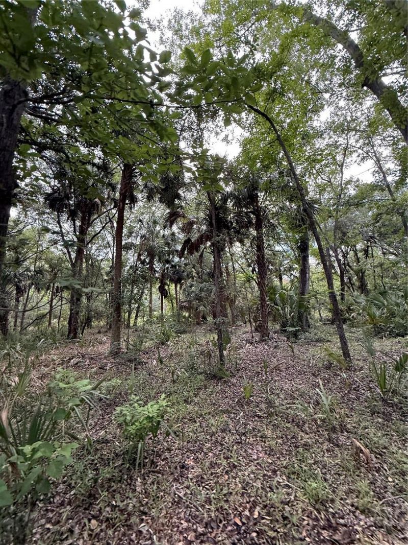 1360 S State Road 19, Palatka, FL 32177 Photo