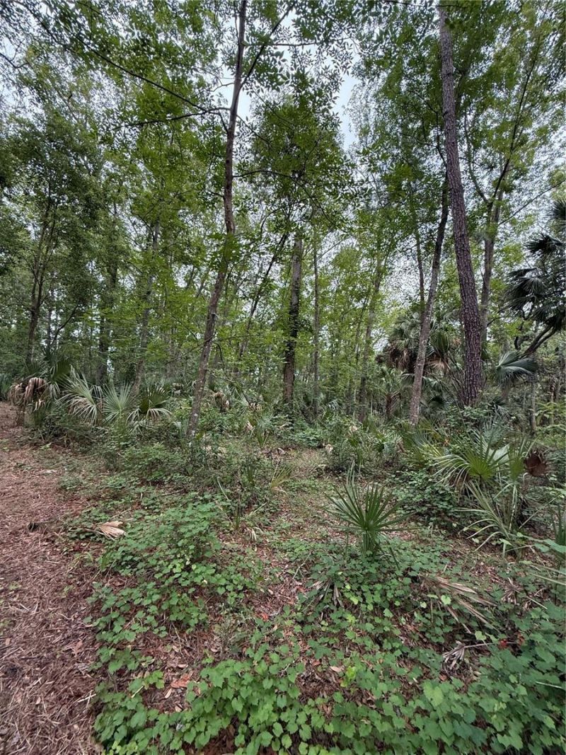 1360 S State Road 19, Palatka, FL 32177 Photo