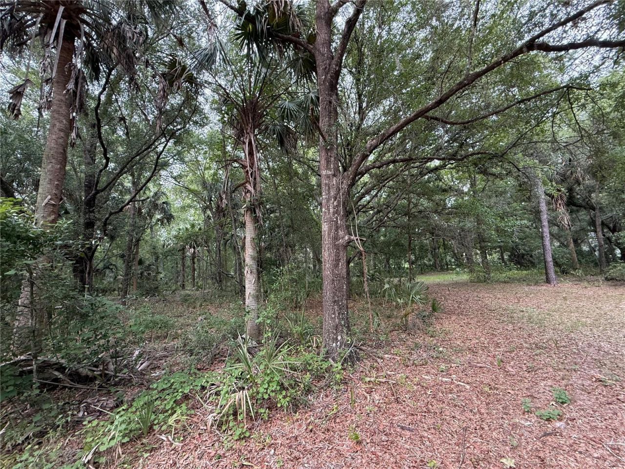 1360 S State Road 19, Palatka, FL 32177 Photo