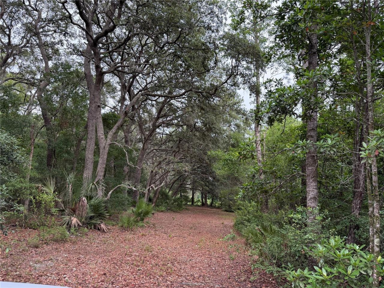 1360 S State Road 19, Palatka, FL 32177 Photo