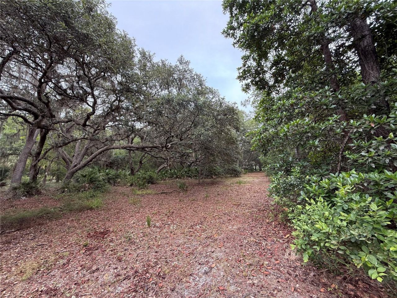 1360 S State Road 19, Palatka, FL 32177 Photo