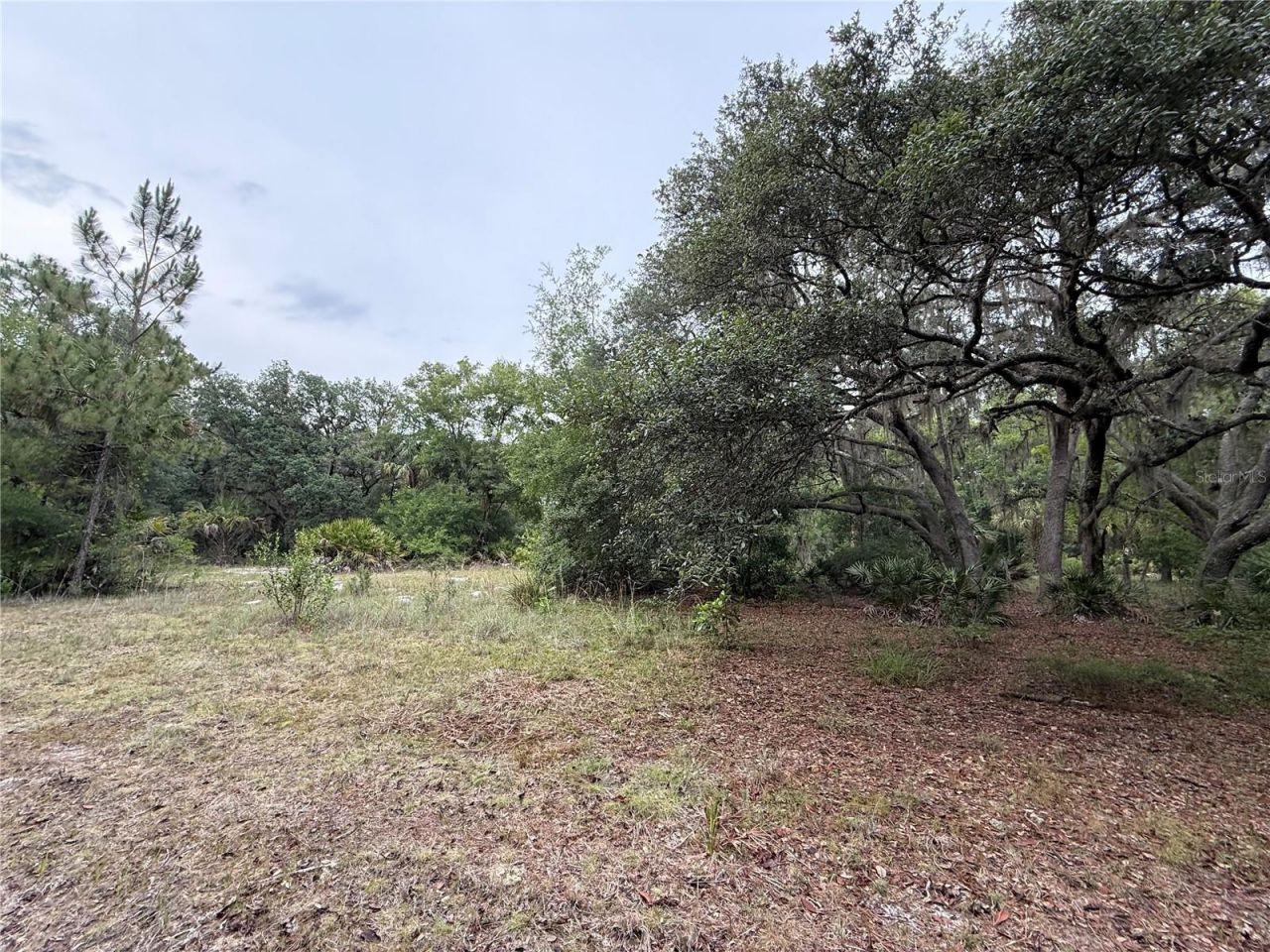 1360 S State Road 19, Palatka, FL 32177 Photo