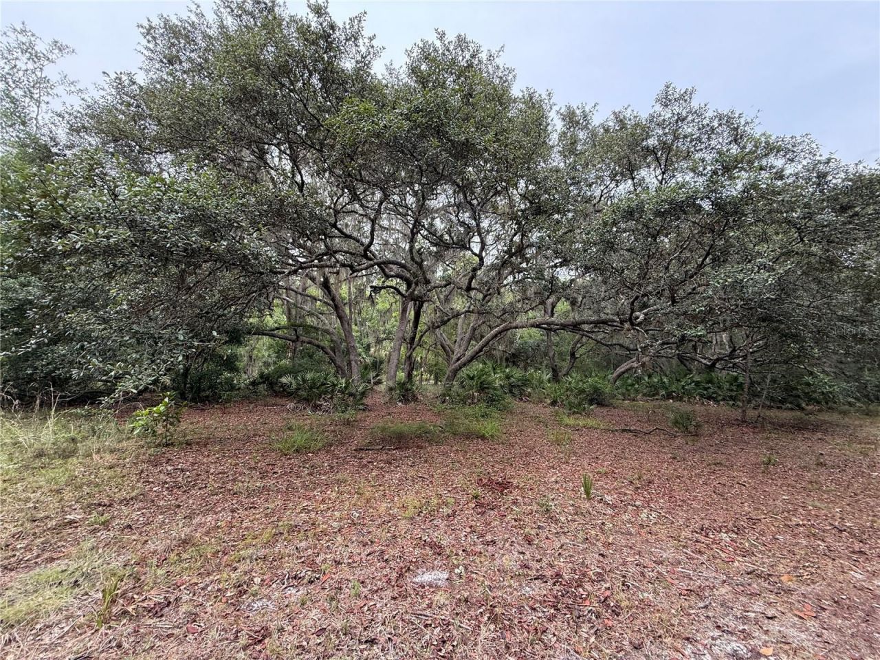 1360 S State Road 19, Palatka, FL 32177 Photo