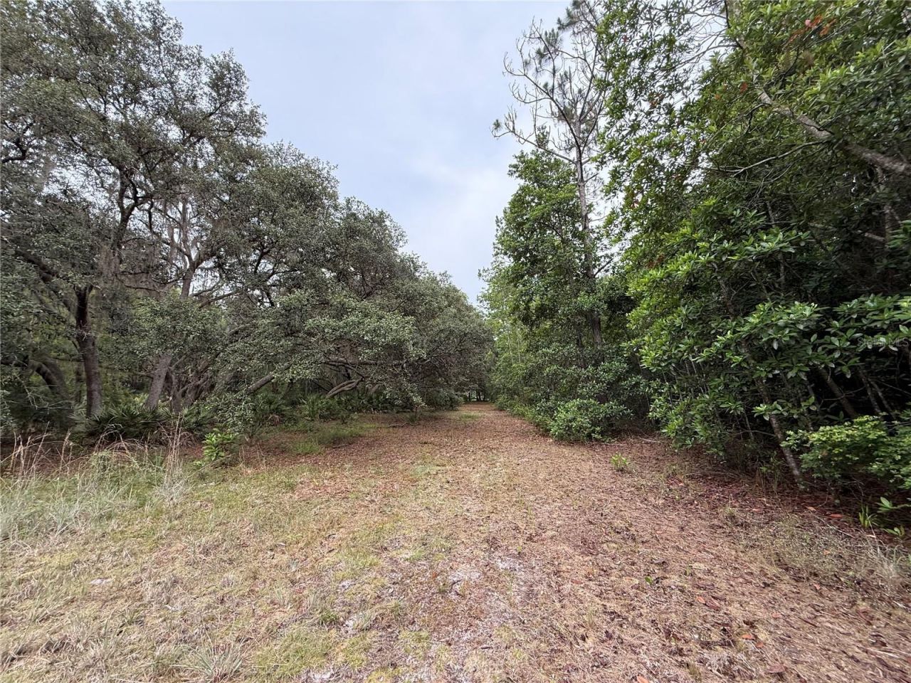 1360 S State Road 19, Palatka, FL 32177 Photo