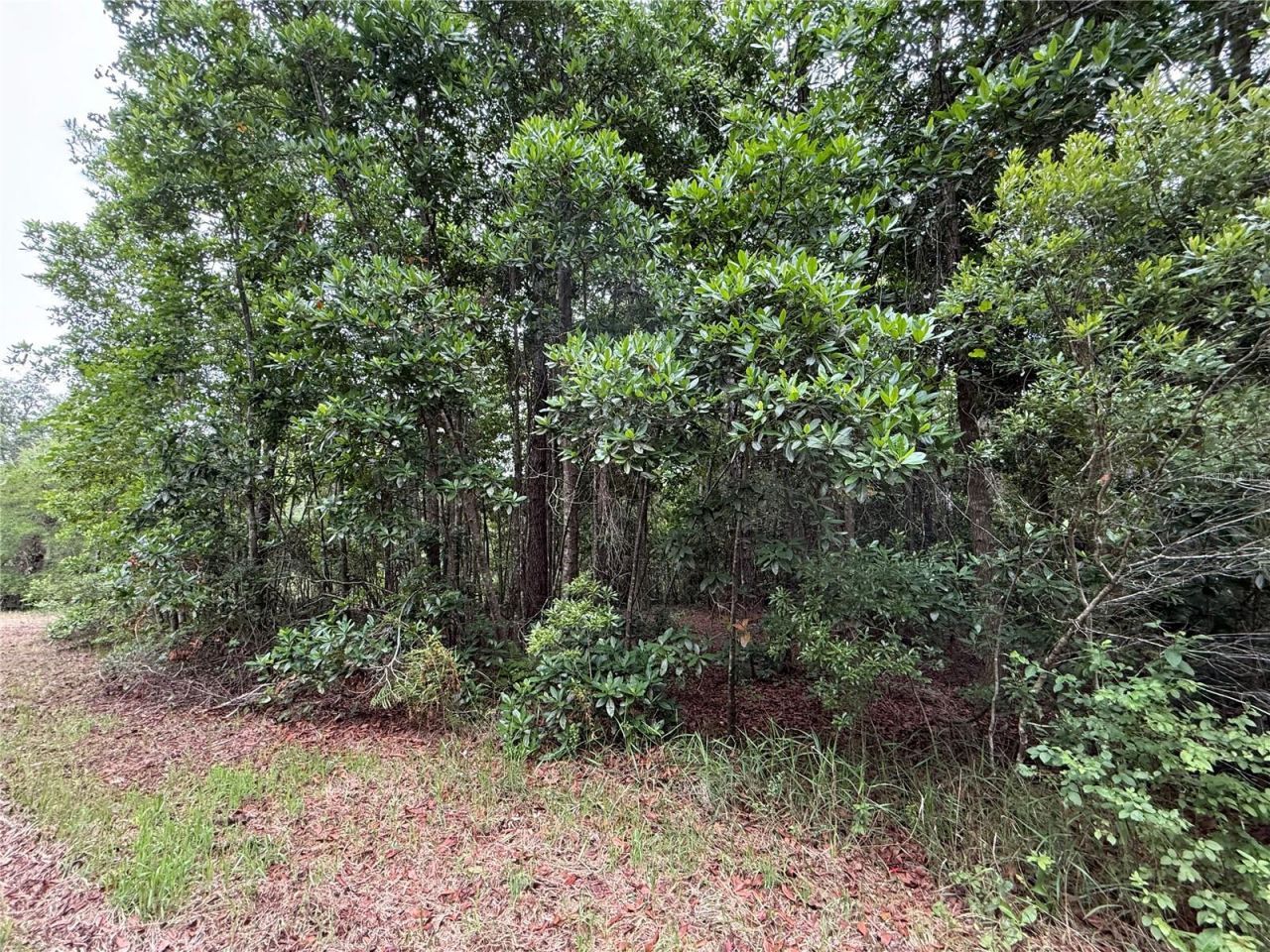 1360 S State Road 19, Palatka, FL 32177 Photo