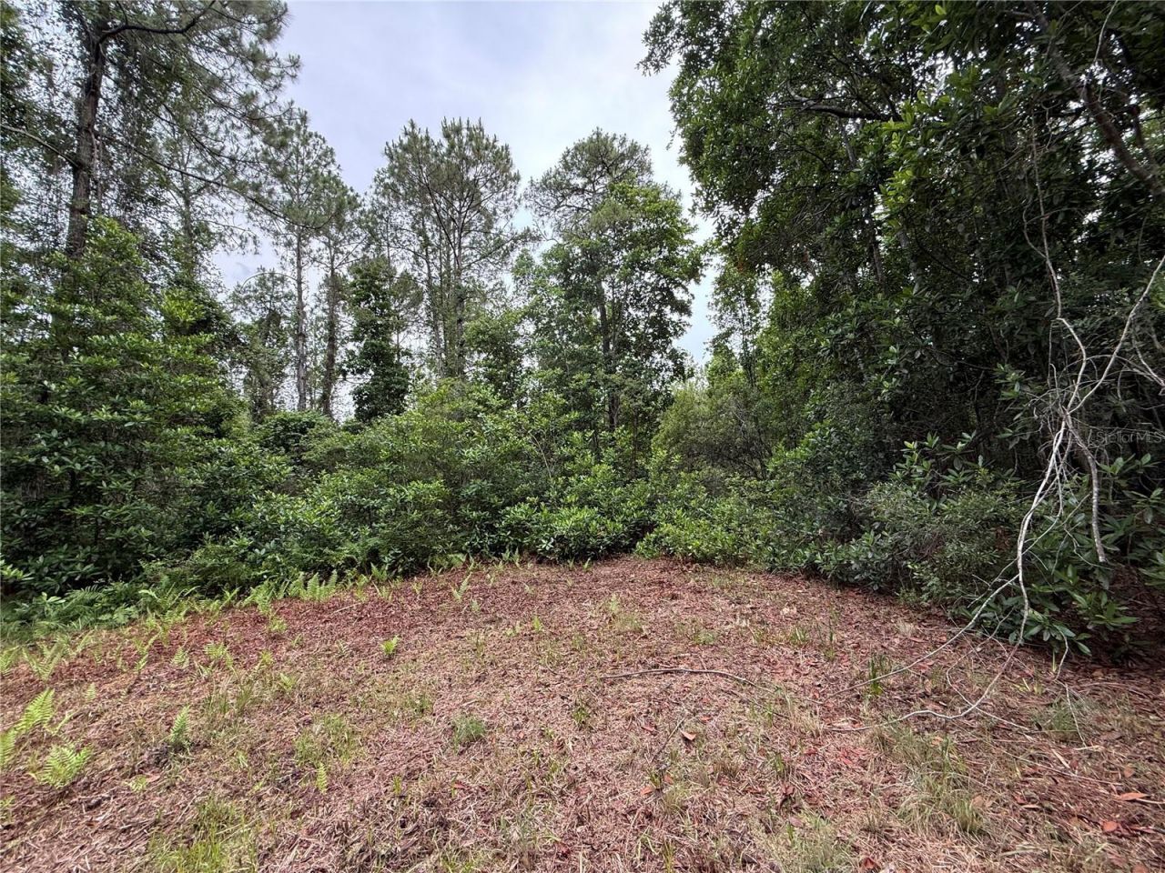 1360 S State Road 19, Palatka, FL 32177 Photo