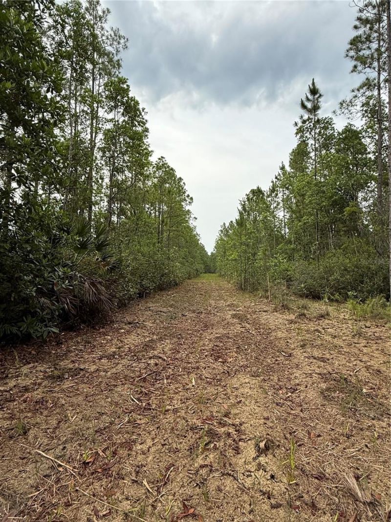 1360 S State Road 19, Palatka, FL 32177 Photo