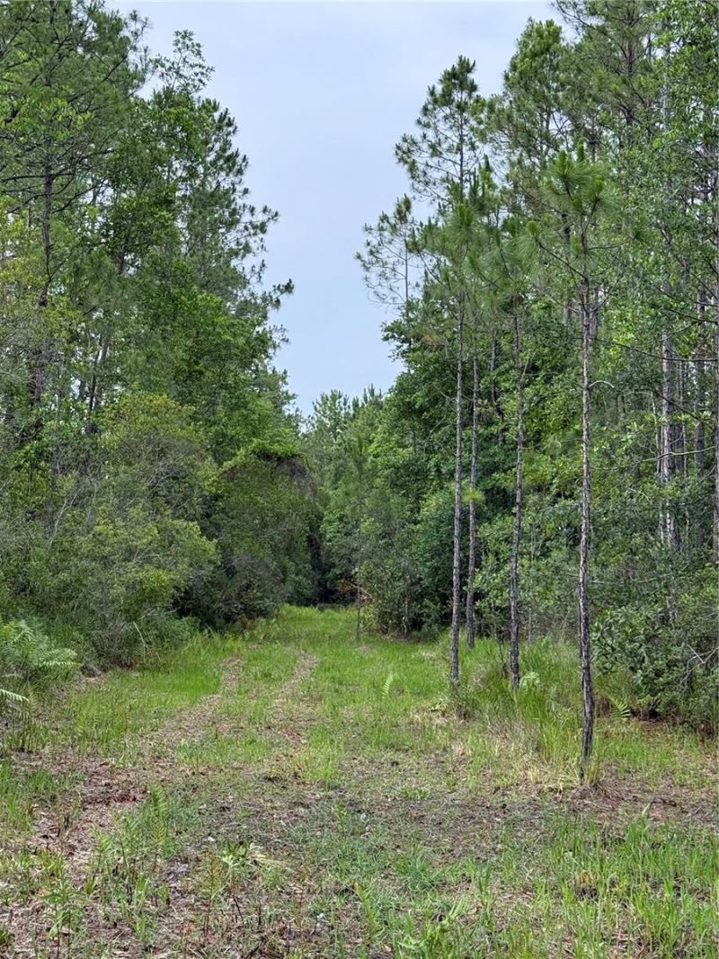 1360 S State Road 19, Palatka, FL 32177 Photo