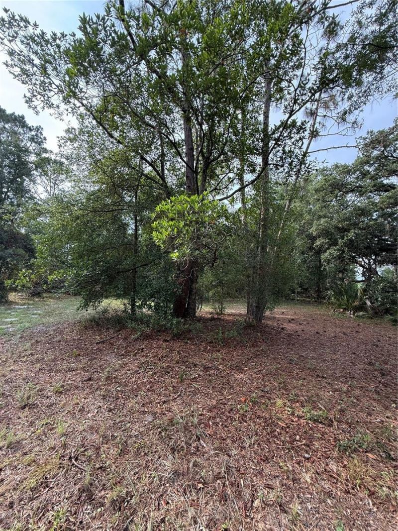 1360 S State Road 19, Palatka, FL 32177 Photo