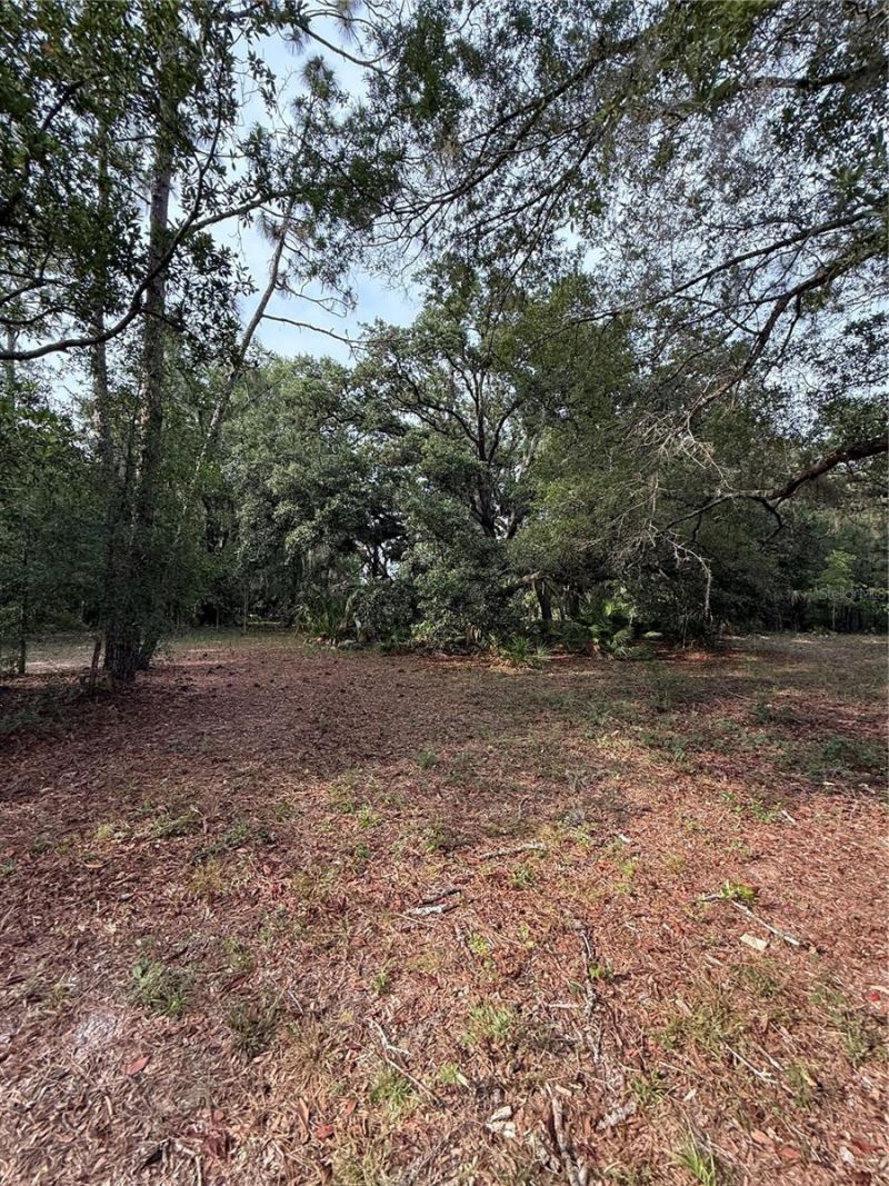 1360 S State Road 19, Palatka, FL 32177 Photo