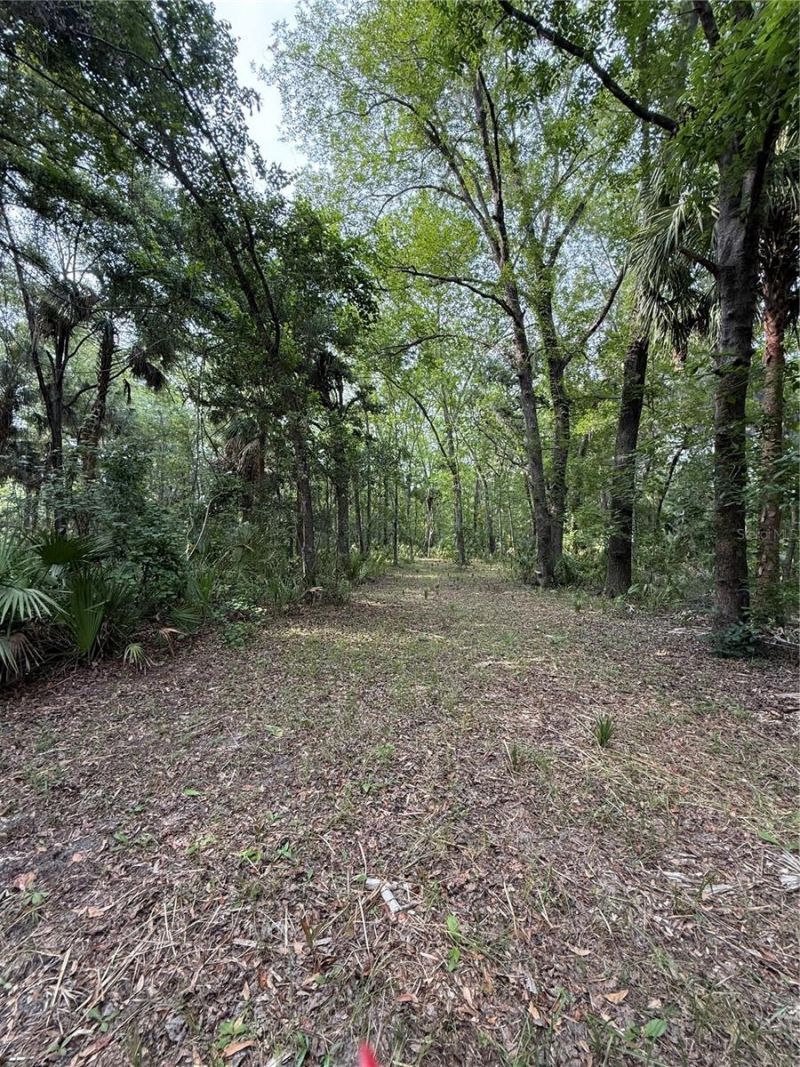 1360 S State Road 19, Palatka, FL 32177 Photo