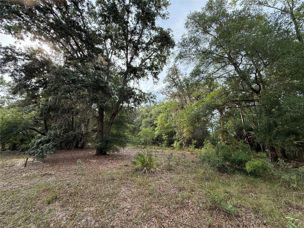 1360 S State Road 19, Palatka, FL 32177 Photo