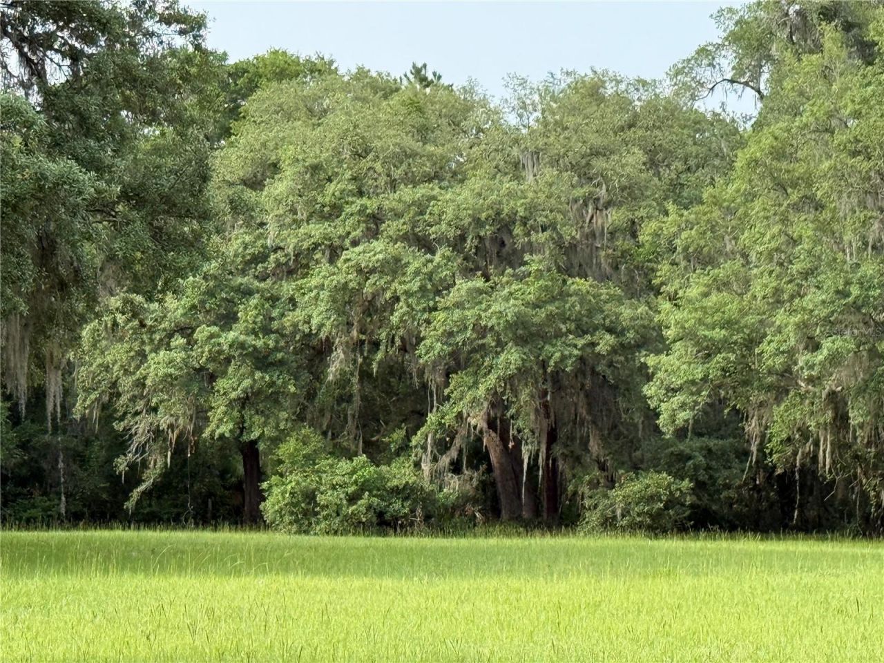 1360 S State Road 19, Palatka, FL 32177 Photo