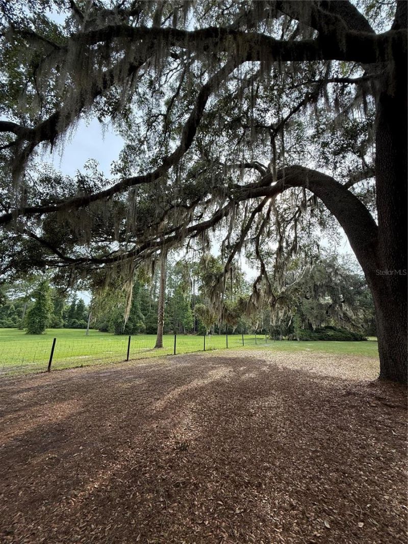 1360 S State Road 19, Palatka, FL 32177 Photo